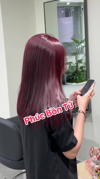 PHÚC BỒN TỬ